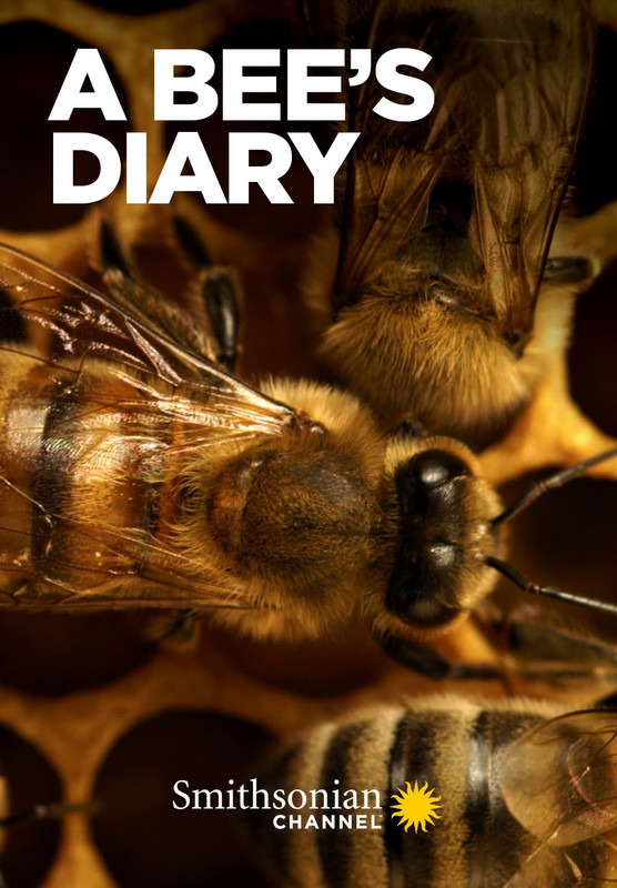 Ze života včely/ A Bee's Diary / CZ