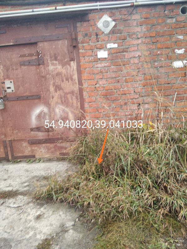 photo_37_2025-10-08_21-17-52