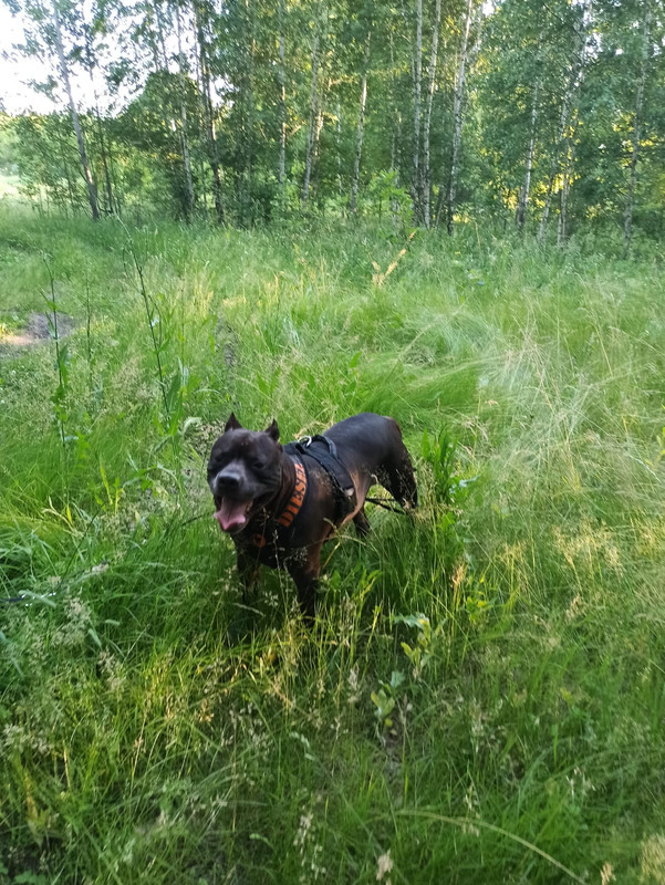 FFBC3AA2-49CD-4D1E-BFD3-DE023AC5F23D