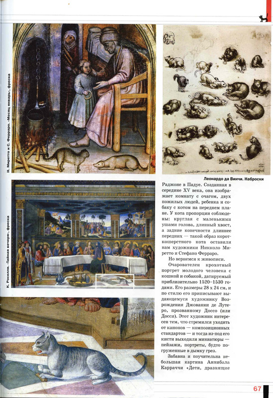 Друг кошек 2008-02-65