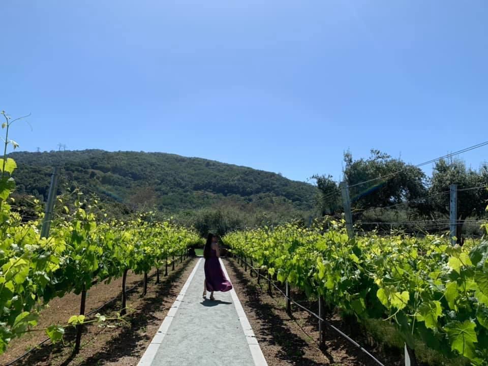 [Image: 488-DBBE2-2538-4031-BC01-264-CFE61-F703.jpg]