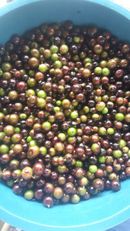 WhatsApp Image 2020-12-20 at 00.10.49 (1)