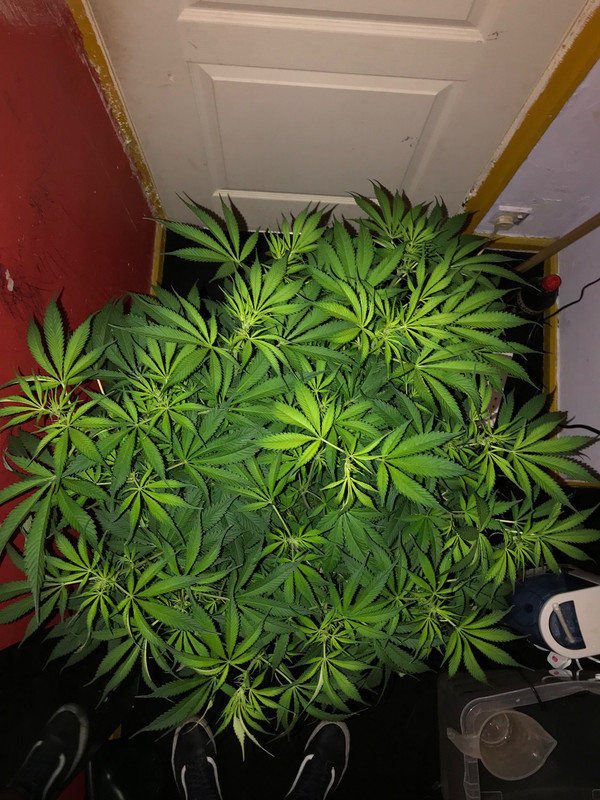 4853E6AC-5345-4E60-80BC-720B7F5F2F41