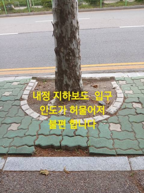 활동 내용 공유