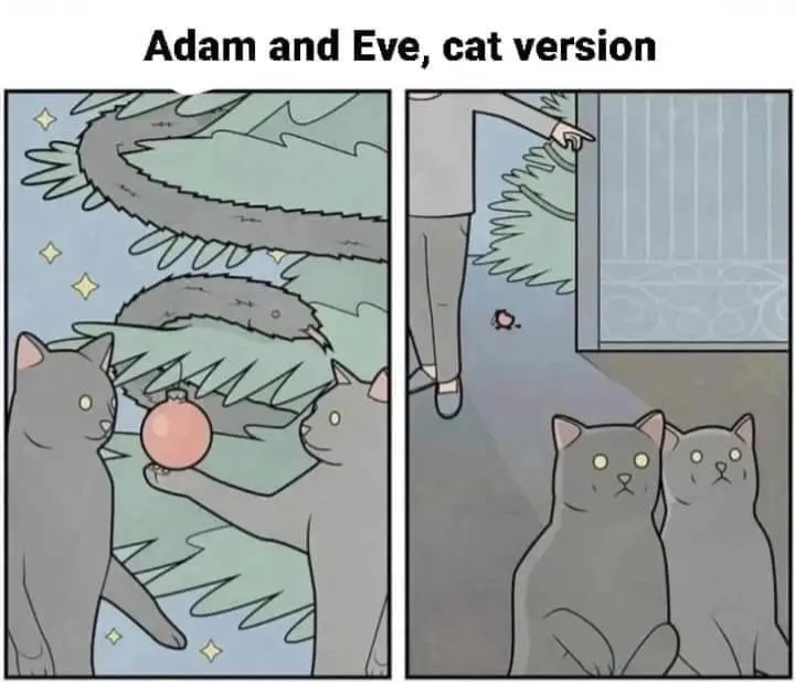 [Image: Catvr.jpg]