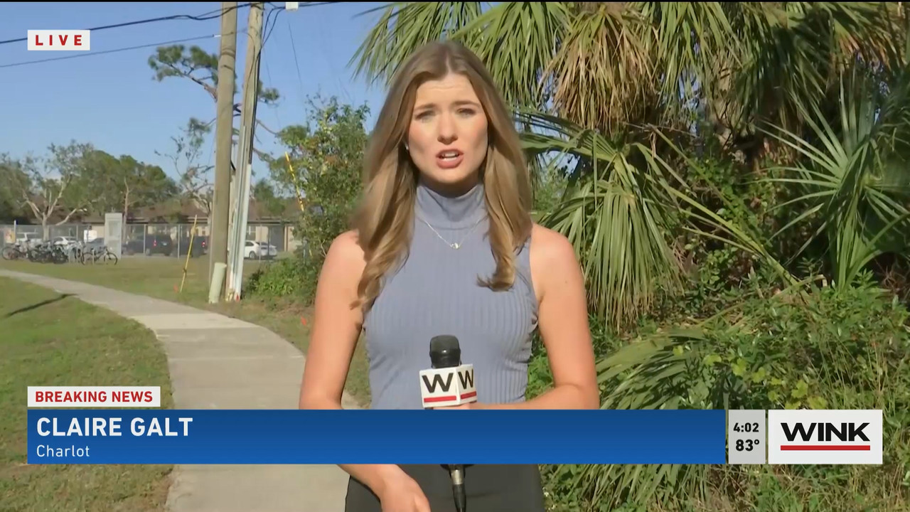02.01 - 20.00.00 - WINK News at 3pm  ᴺᵉʷ..ts_snapshot_01.08.34.417