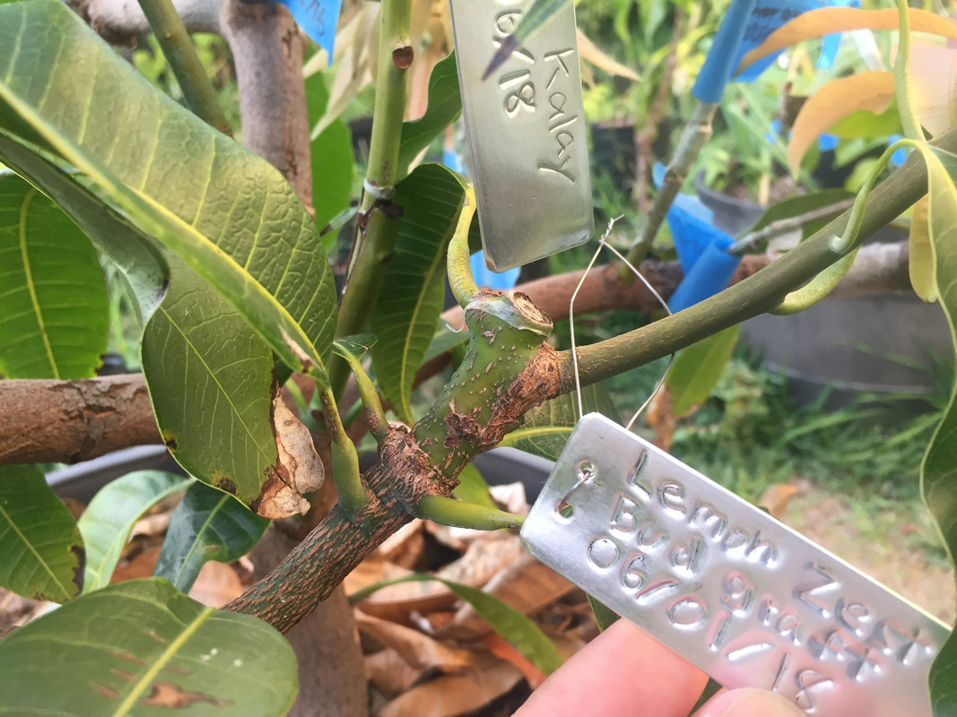 8711A11F-7433-46D7-9C6D-0B2947C86716