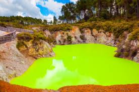 Morning "Wai-o-tapu" Combo - The Mud Run | Shaara Deals