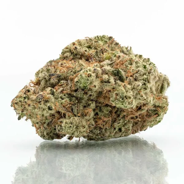 White Truffle strain flower