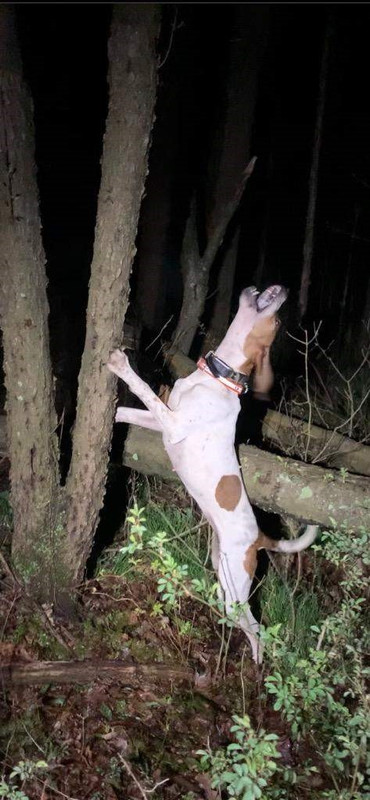 Resized_IMG_4614 (1)