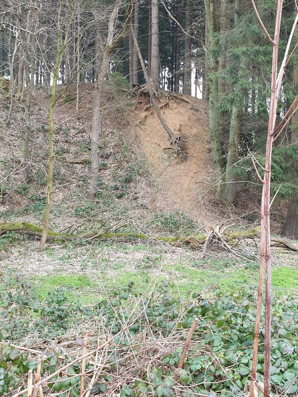 IMG-20190324-WA0012