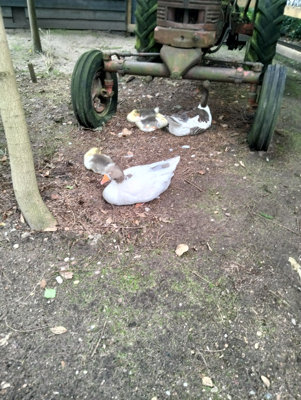 IMG20250726152821 (1)