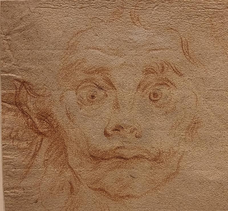 Roma: Villa Farnesina, Bernini&Barberini, Detroit Museum - Roma y Nápoles: Bernini, Giorgione y mucho más. (147)