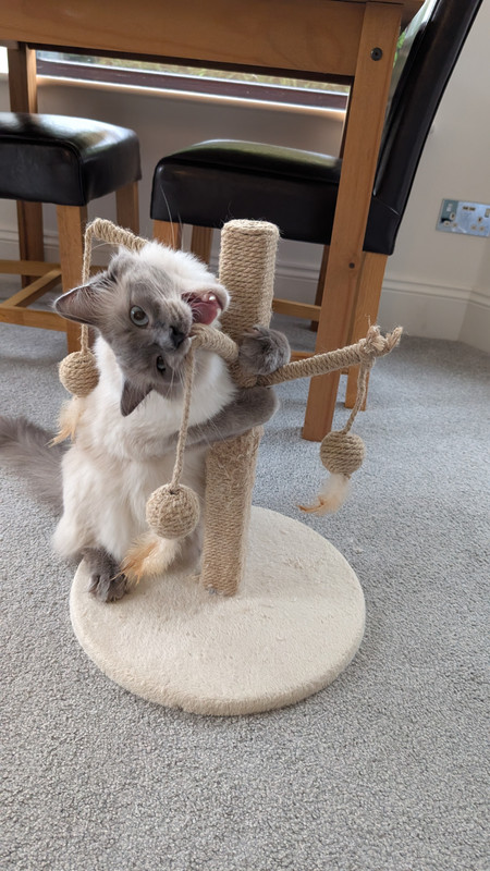 PXL_20250817_170804565