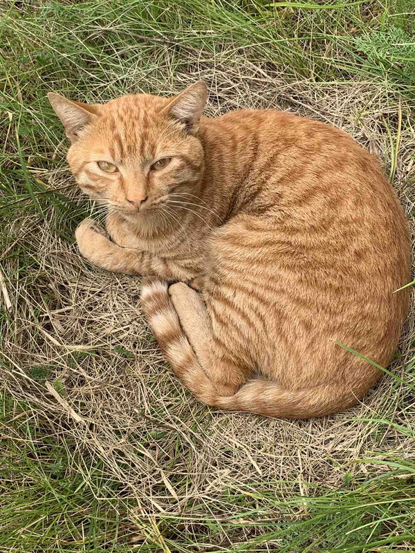 E338C7B4-2D18-4025-8753-8EE2943709DE