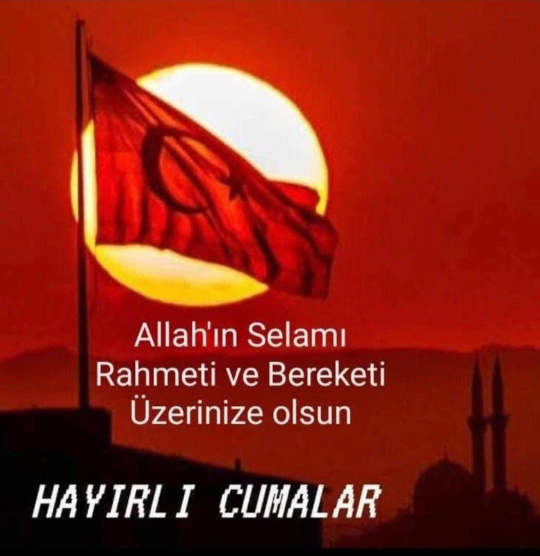 Whats App Image 2026 07 03 at 20 16 21