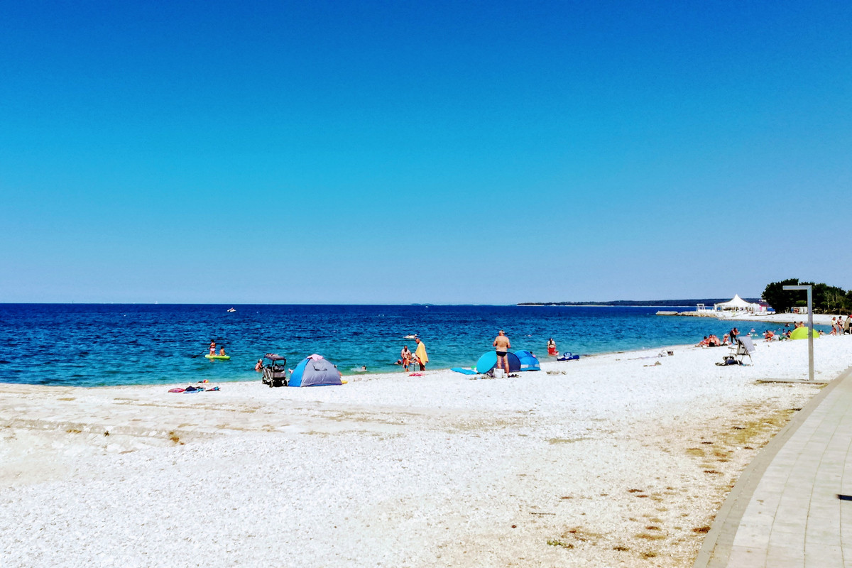 IMG_20220801_110707 (2)