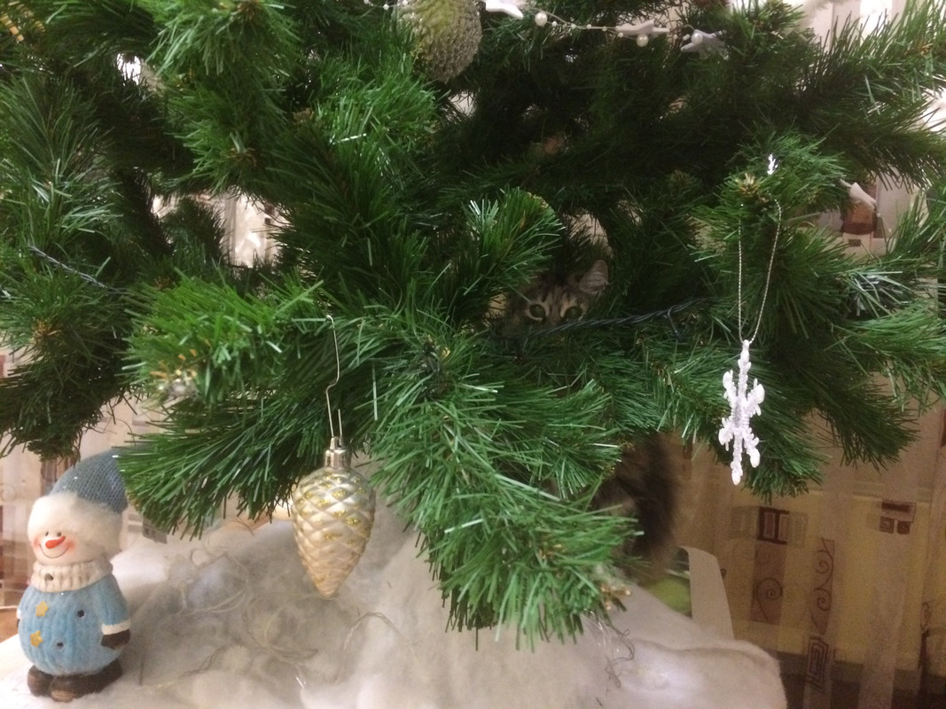 60EF8EBA-7966-48FD-B2F2-B519EB30A317