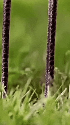 20220503-230732.gif