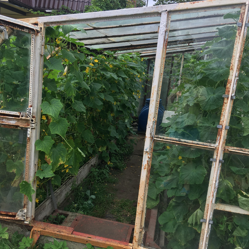 дачное и по ремонту недоделки 111