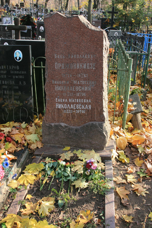 nikolaevskaya-em