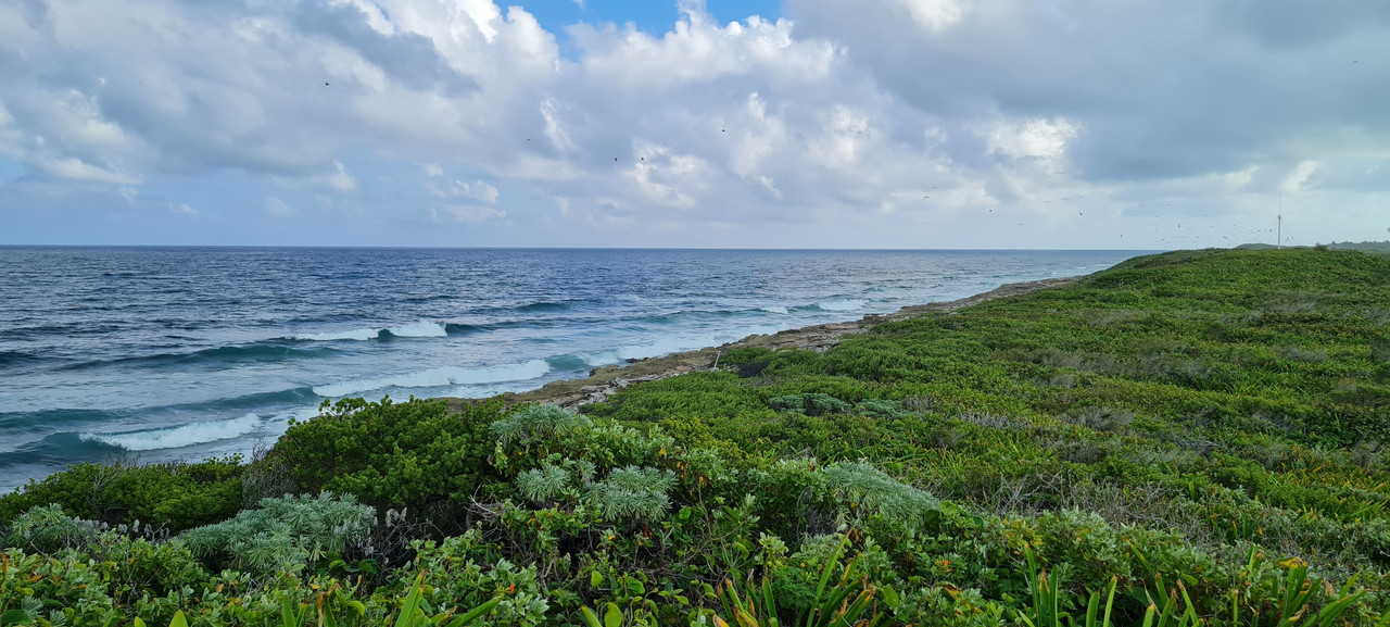 Isla Mujeres e Isla Contoy, un regalo de la naturaleza - Riviera Maya en Navidad (20)