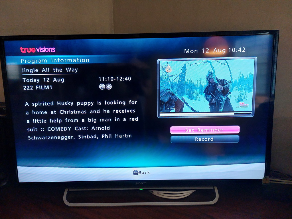 EPG synopsis for Jingle All the Way reading: 'A spirited Husky puppy is looking for a home at Christmas and he receives a little help from a big man in a red suit :: COMEDY Cast: Arnold Schwarzenegger, Sinbad, Phil Hartm[an]'