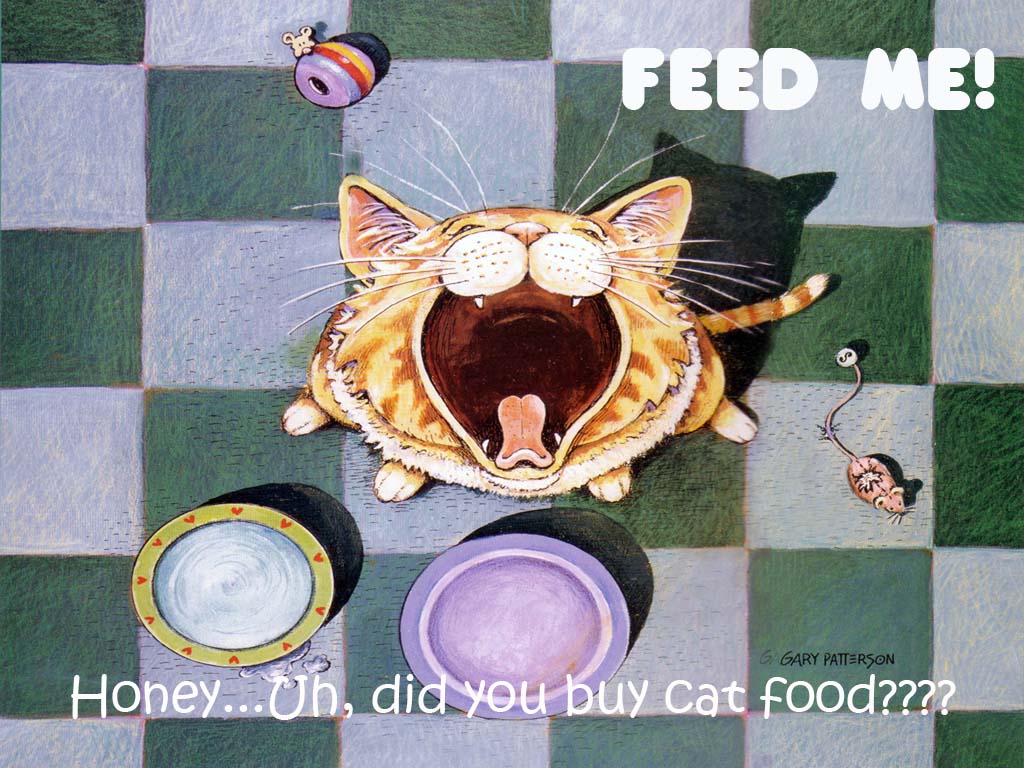 19-Feed-Me-1024x768