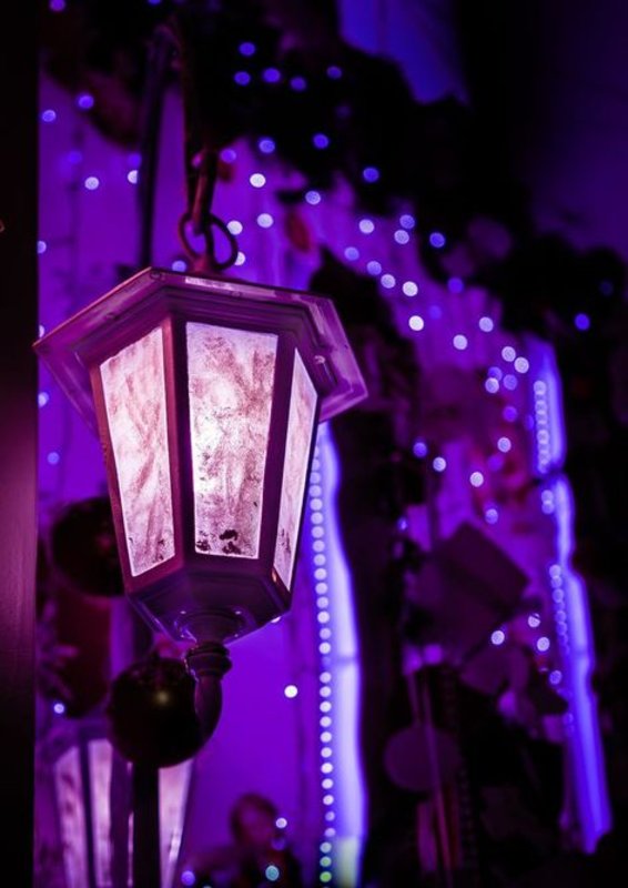 purple-light.jpg