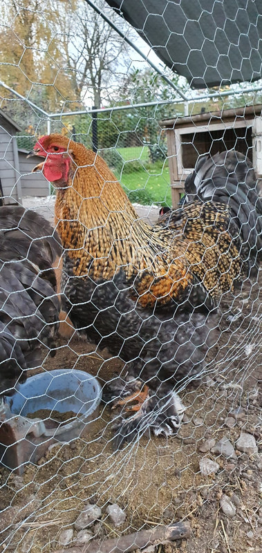 CC026C5A-F656-4736-B9B8-0ADC70BB41C5