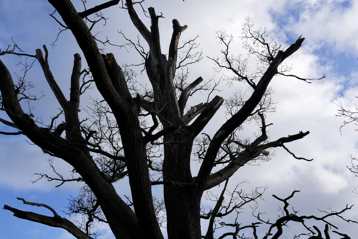 D0C7E496-B649-4D37-A830-1404AFAB2A09