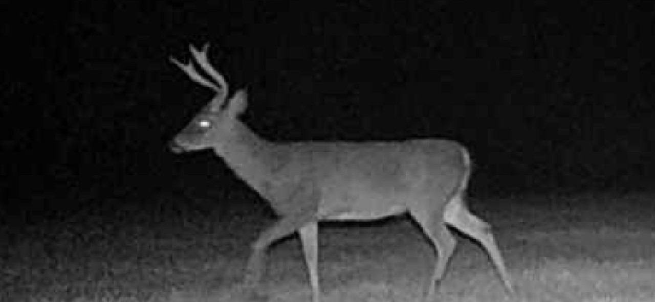 Screenshot 20251116 150221 Gallery