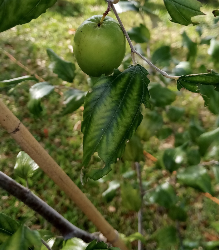 122FF135-480B-4C95-B32E-D9BE4CD90F05