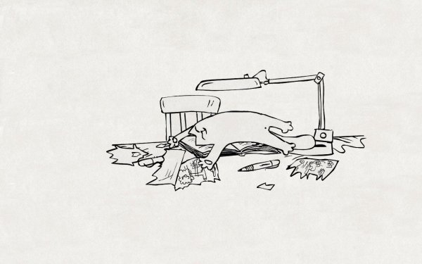 kot saymon 40 13771f27