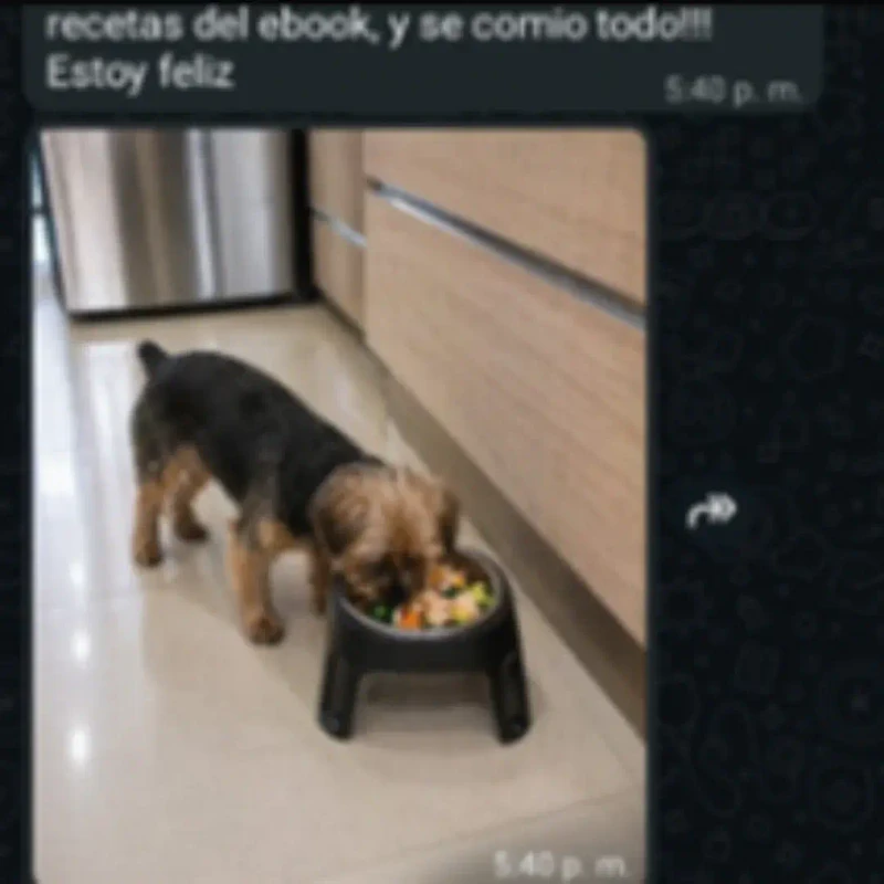 Come todo