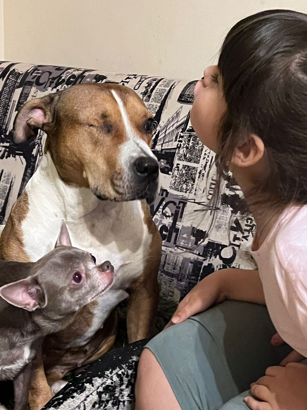 C455AB37-004B-4E46-B722-C42CE0B14CDF