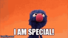 grover sesame street 4130100764