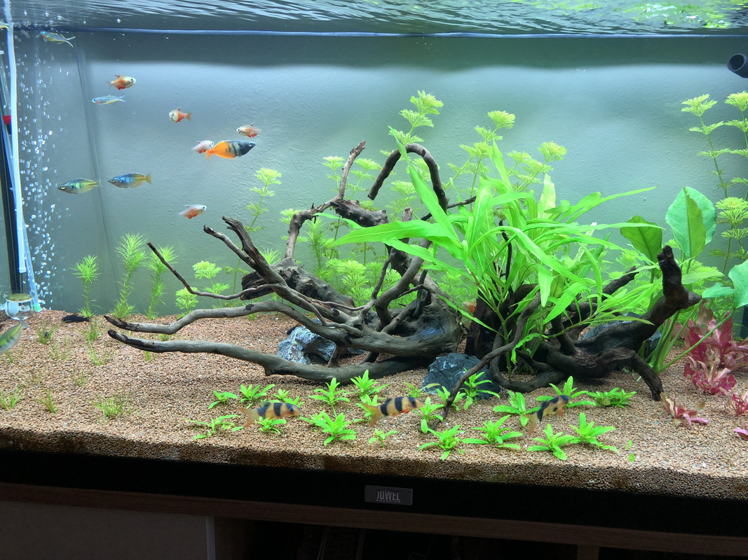 E1027CCF-DD56-4B9F-BE89-926F8D1DDA3F