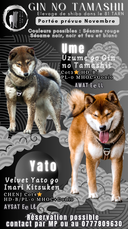 insta-UME-X-YATO