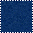B1S1