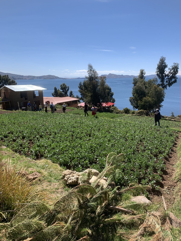 599DB755-571C-4CA2-9103-AE64FE4B4F69