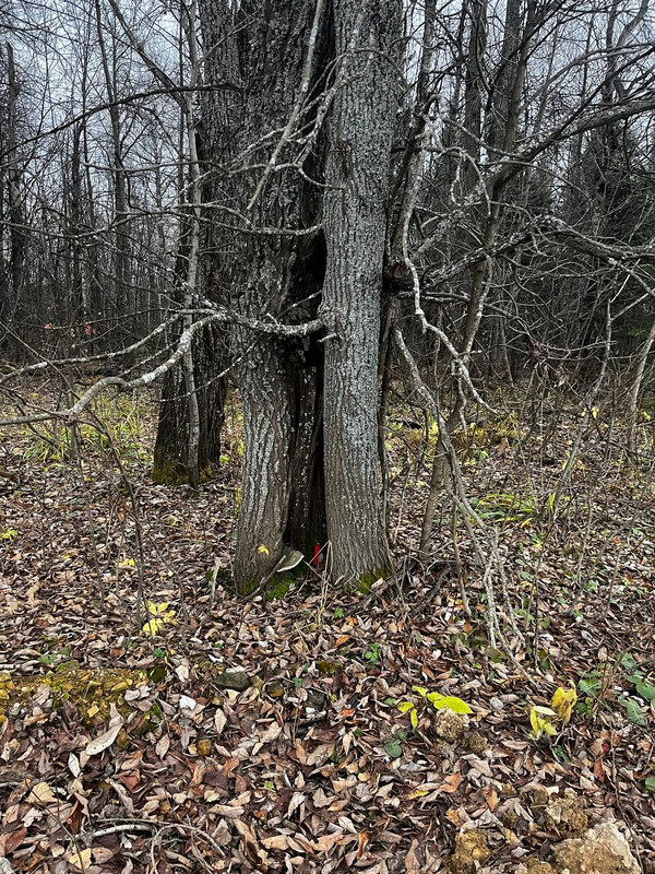 photo 2 2025 10 28 20 50 32