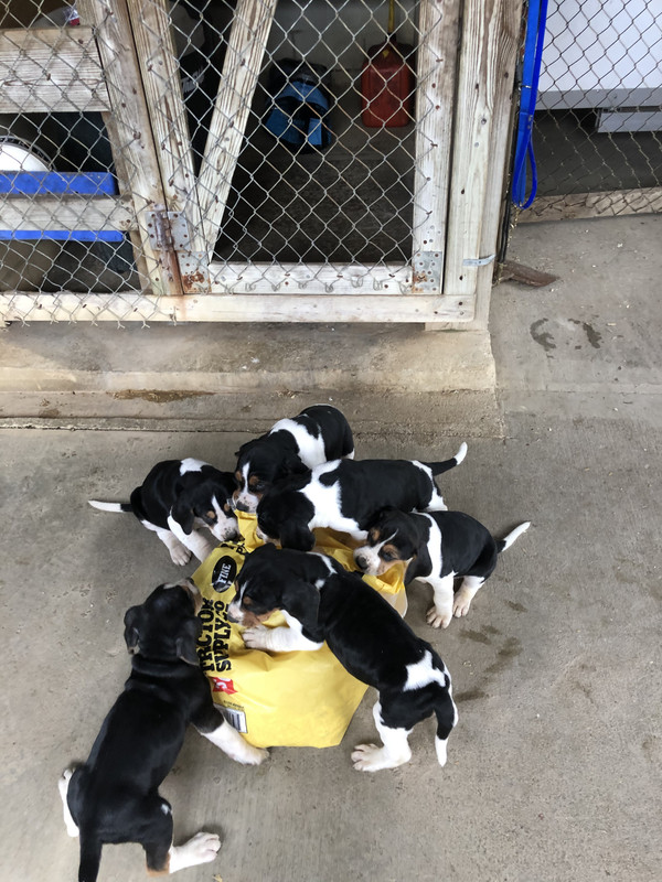 A659C038-12F8-447A-9317-BC800F95C4C5