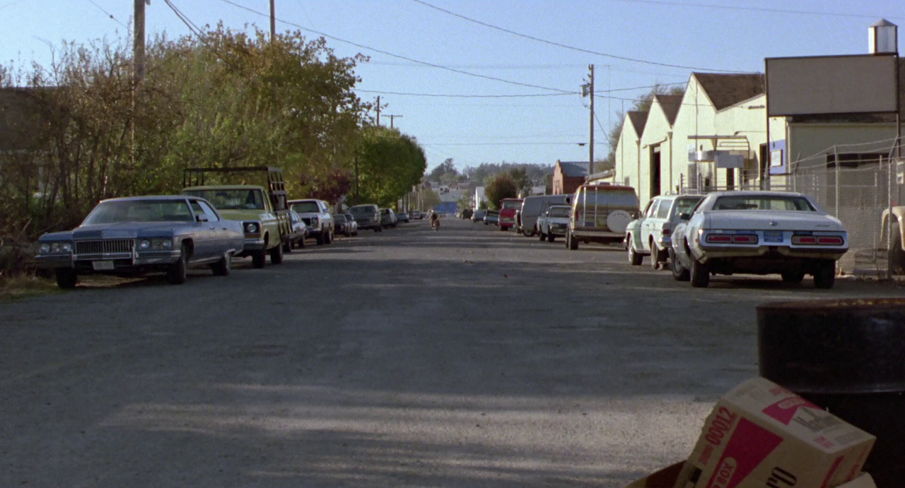 vlcsnap-2023-04-22-11h47m30s113