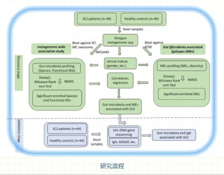 肠道微生物+精神分裂症-2.png