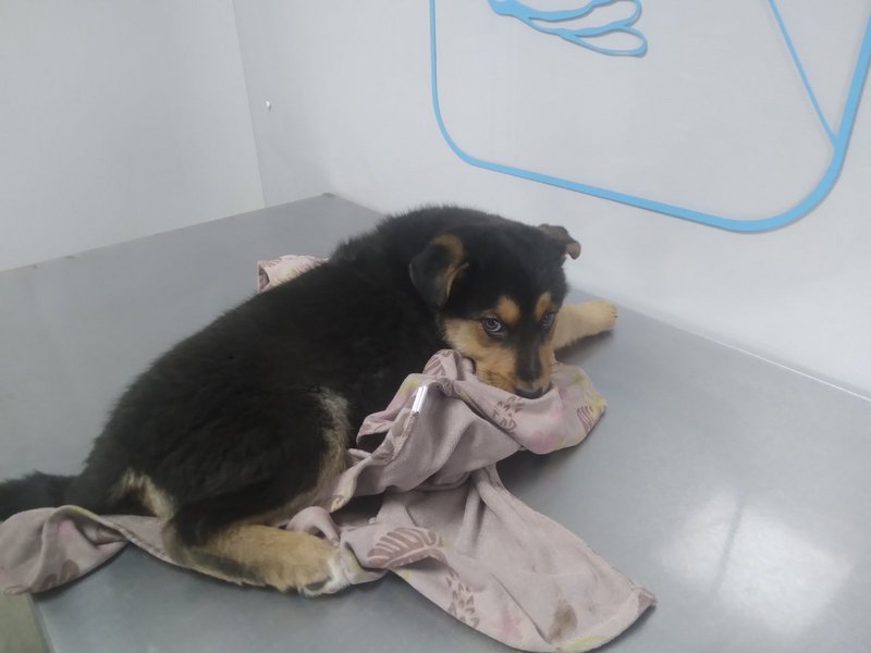 изображение_viber_2022-12-10_22-37-08-169