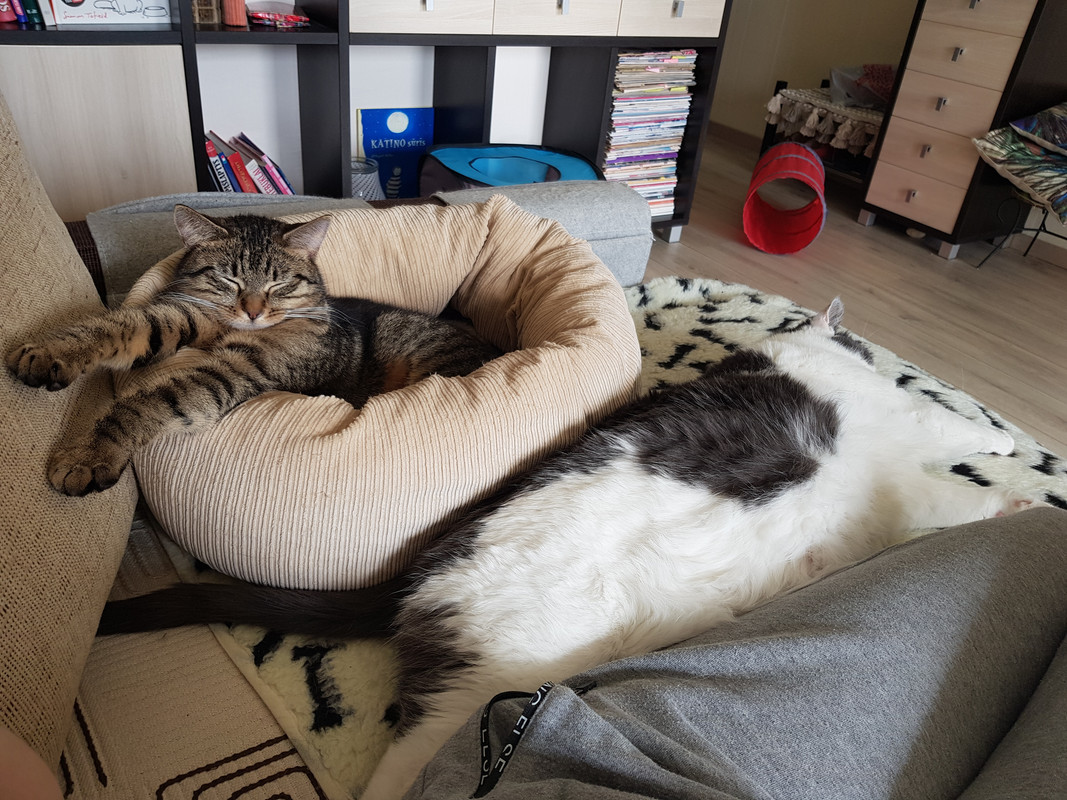20190224-120357.jpg