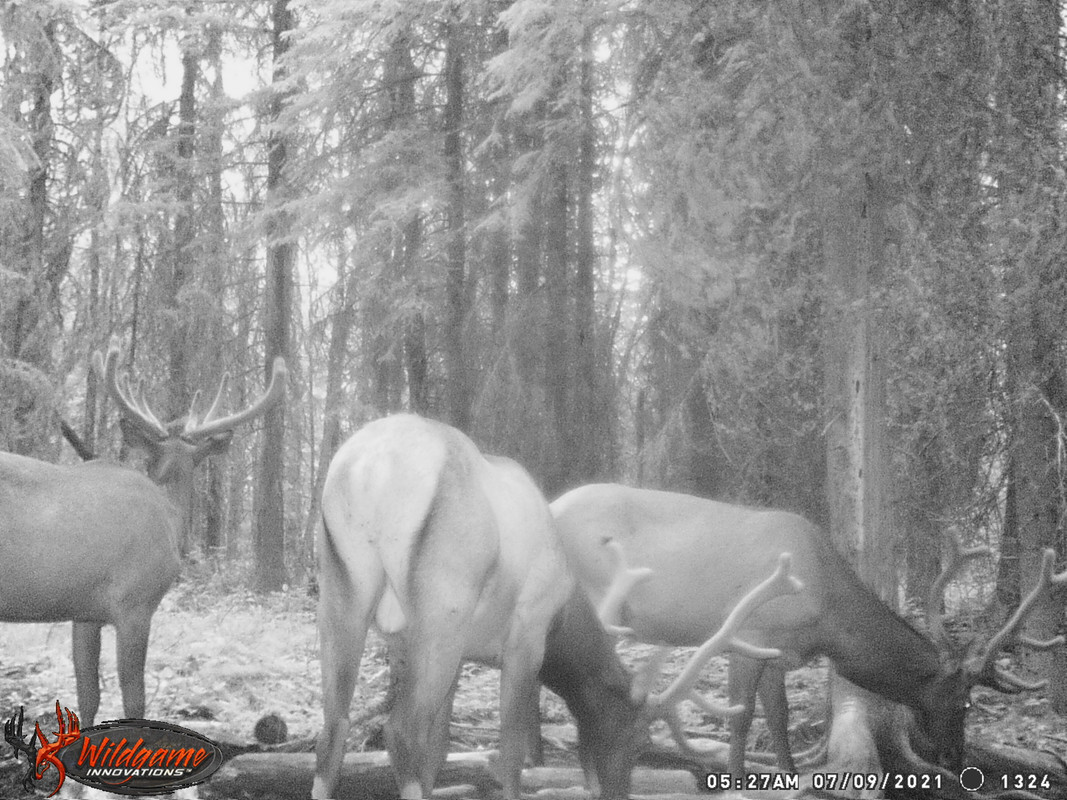 426A556A-9DB8-4C87-BD3B-EFFD94E4F6AE