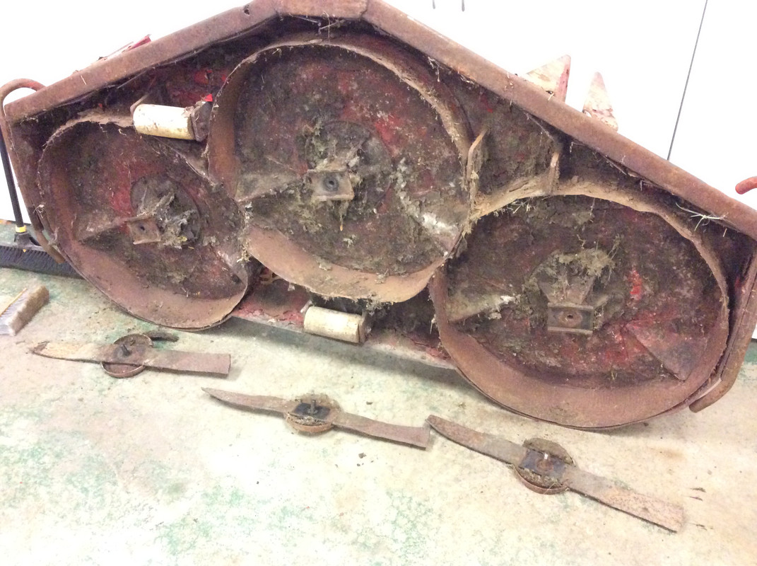 40201F88-EBE3-4833-94C9-409353CB9563