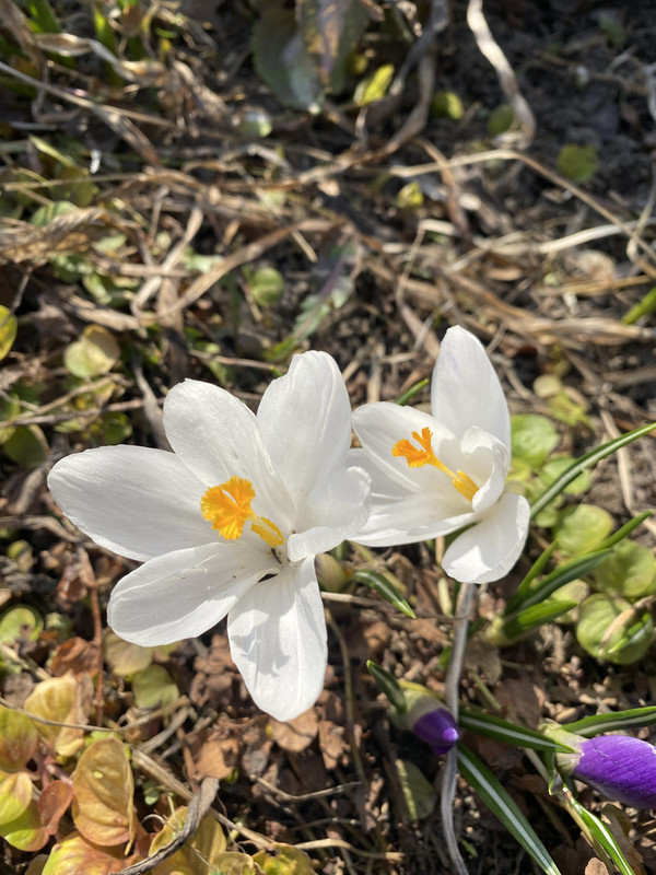 F24C4C90-7596-485D-9F2B-B72D4623E7F2